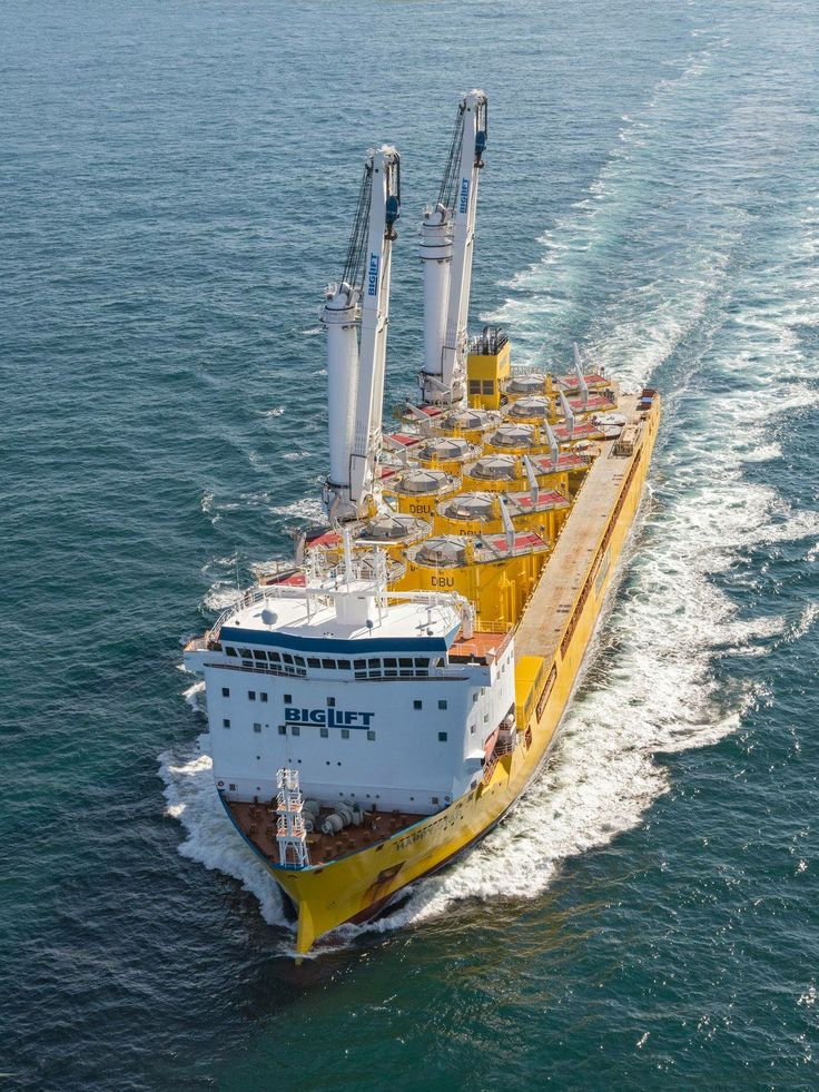 Maritime professionals at work